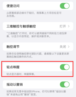 乐亭苹果授权维修站分享iPhone轻点无法唤醒怎么办