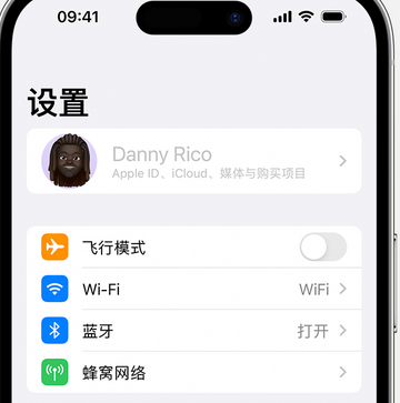 乐亭appleID维修服务iPhone设置中Apple ID显示为灰色无法使用 