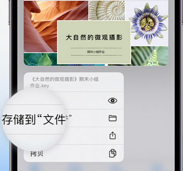 乐亭apple维修中心分享iPhone文件应用中存储和找到下载文件