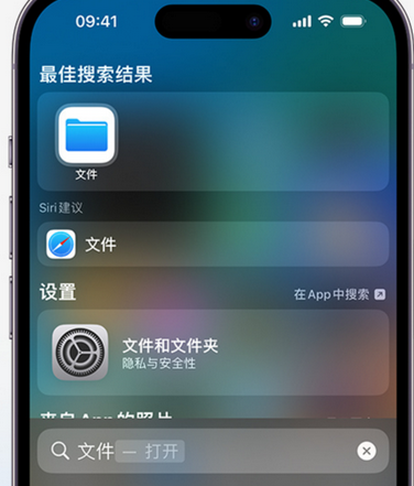 乐亭apple维修中心分享iPhone文件应用中存储和找到下载文件 