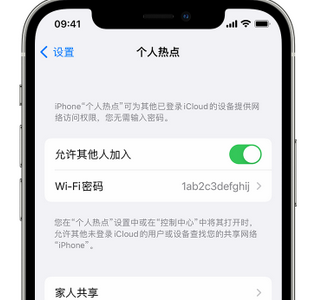 乐亭apple服务站点分享iPhone上个人热点丢失了怎么办