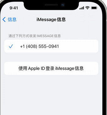 乐亭apple维修iPhone上无法正常发送iMessage信息 