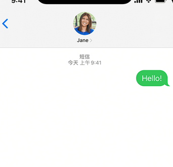 乐亭apple维修iPhone上无法正常发送iMessage信息