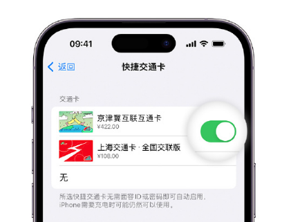 乐亭apple维修点分享iPhone上更换Apple Pay快捷交通卡手绘卡面 