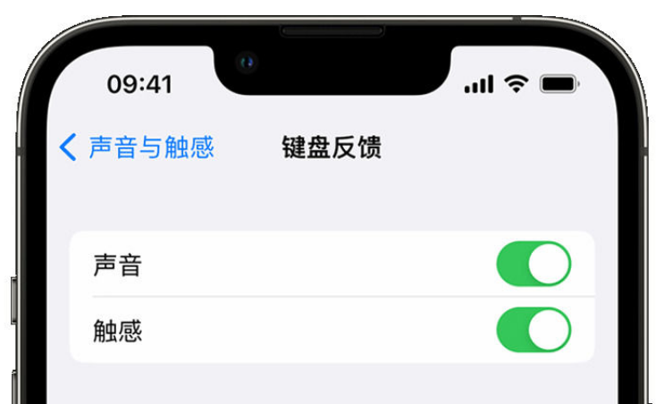 乐亭苹果手机维修分享iPhone 14触感键盘使用方法 