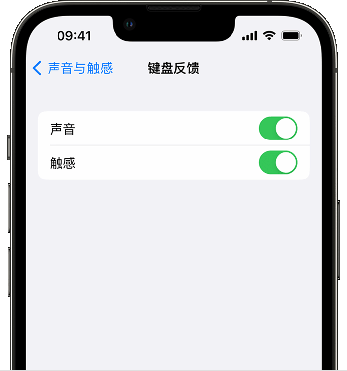 乐亭苹果14维修店分享如何在 iPhone 14 机型中使用触感键盘 