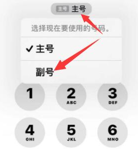 乐亭苹果14维修店分享iPhone 14 Pro Max使用副卡打电话的方法 