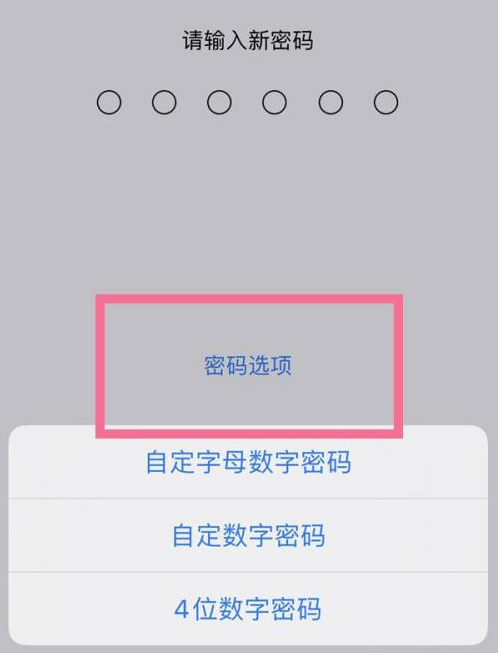 乐亭苹果14维修分享iPhone 14plus设置密码的方法 