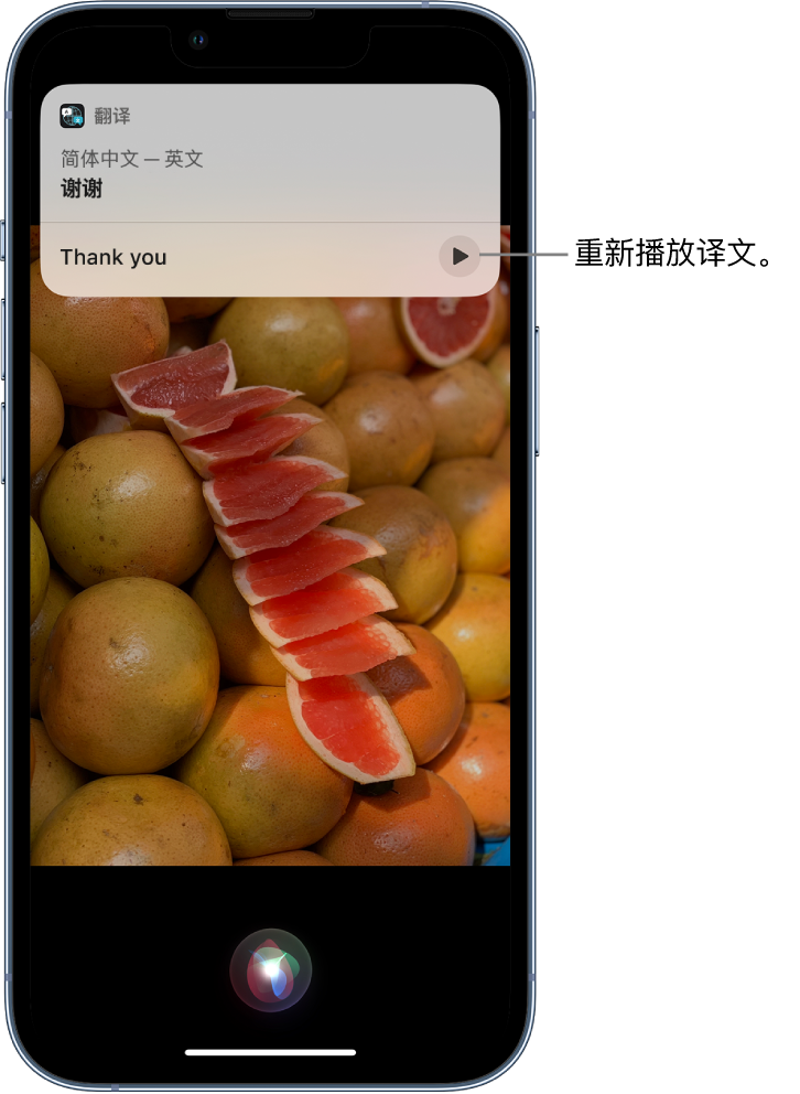 乐亭苹果14维修分享 iPhone 14 机型中使用 Siri：了解 Siri 能帮你做什么 