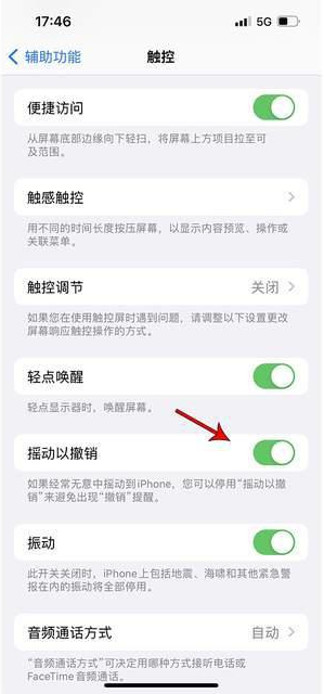 乐亭苹果手机维修分享iPhone手机如何设置摇一摇删除文字 